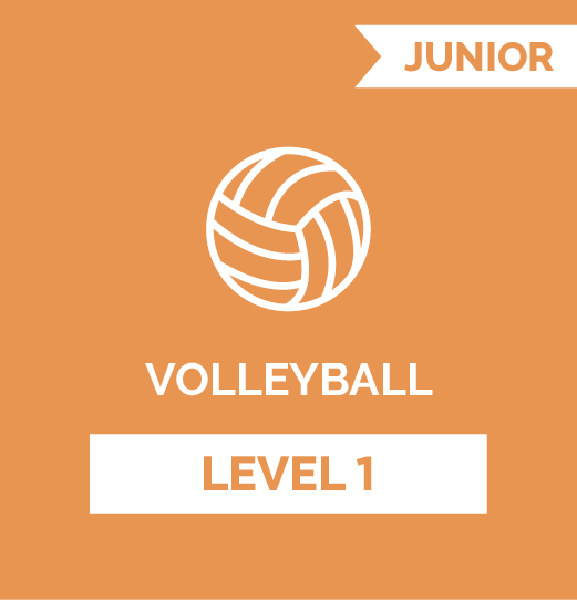 volleyball online customised athlete training program