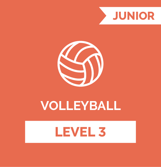 volleyball online personalised coaching course