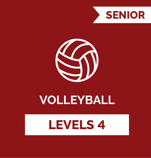 Volleyball online soccer training program