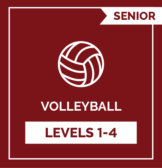 volleyball online customised sports program