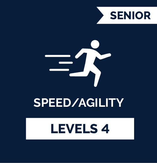 Online Speed and Agility Training Program | Acceleration Australia