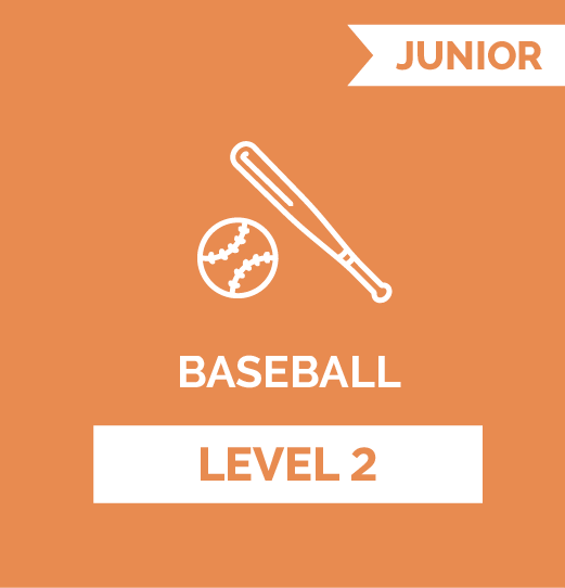 Online Program Baseball