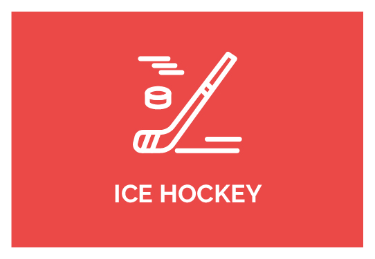Online Strength Training Ice Hockey