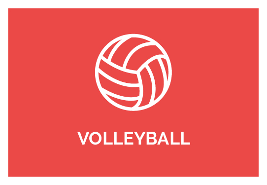 Online Strength Training Volleyball